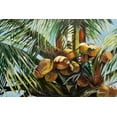 thumbnail image 2 of Wilkins, Suzanne 14x11 White Modern Wood Framed Museum Art Print Titled - Los Cocos, 2 of 4
