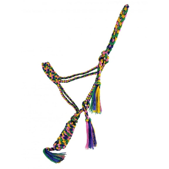 Showman Rainbow Woven Nylon Mule Tape Halter w/ Lead