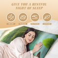 thumbnail image 3 of Naloa Lake Forest Dinosaur Super Soft 20x60 Body Pillow Case,Long Side Hidden Zipper（PILLOWS ARE NOT INCLUDED）, 3 of 6
