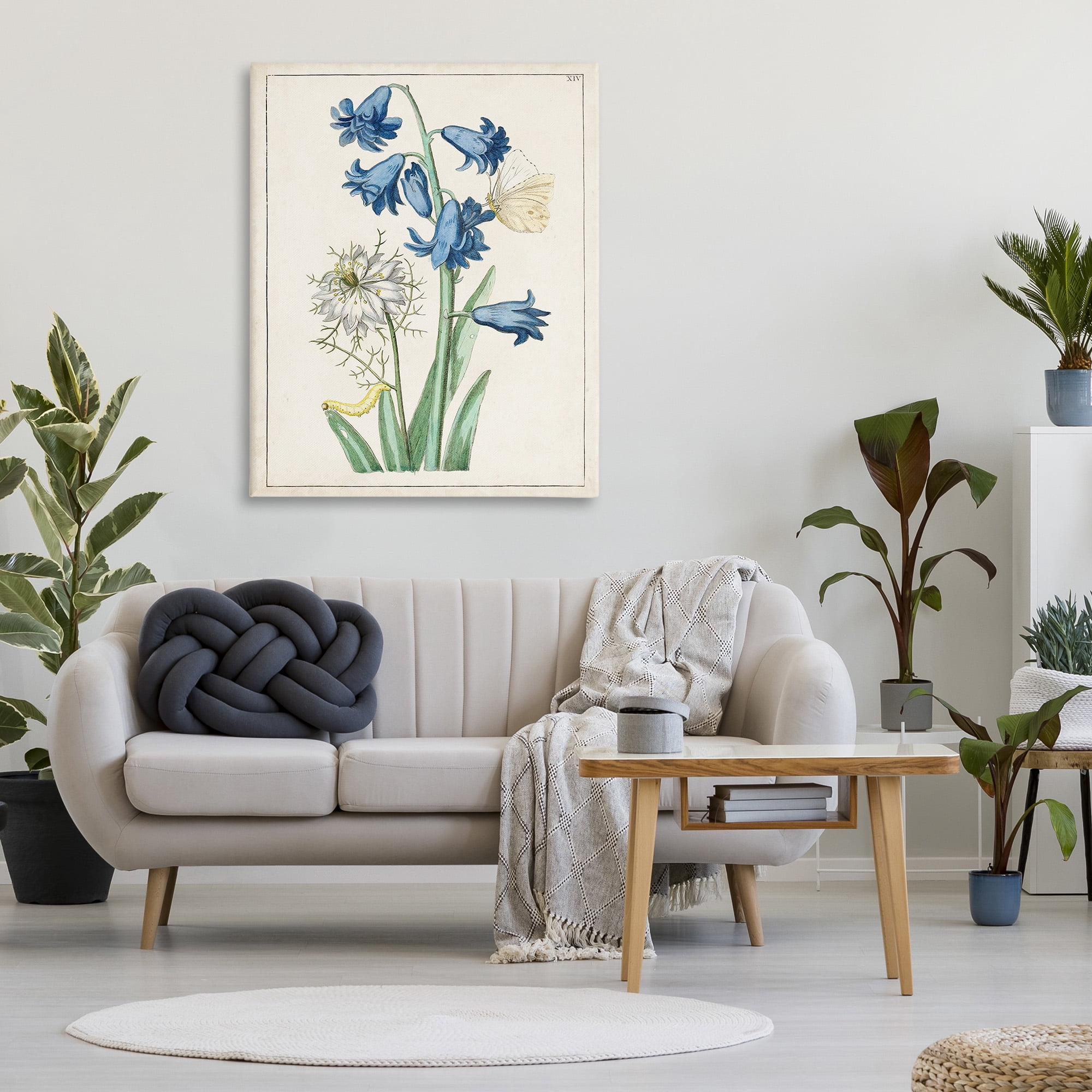 Stupell Industries Nature Bulbs with Moth Botanical & Floral Painting Gallery Wrapped Canvas Art Print Wall Art, 36 x 48