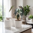 thumbnail image 5 of BUYMAX White Ceramic Plant Pots with Drainage and Trays, 5 Inch Small Flower Pots for Indoor Plants, Set of 4, 5 of 8