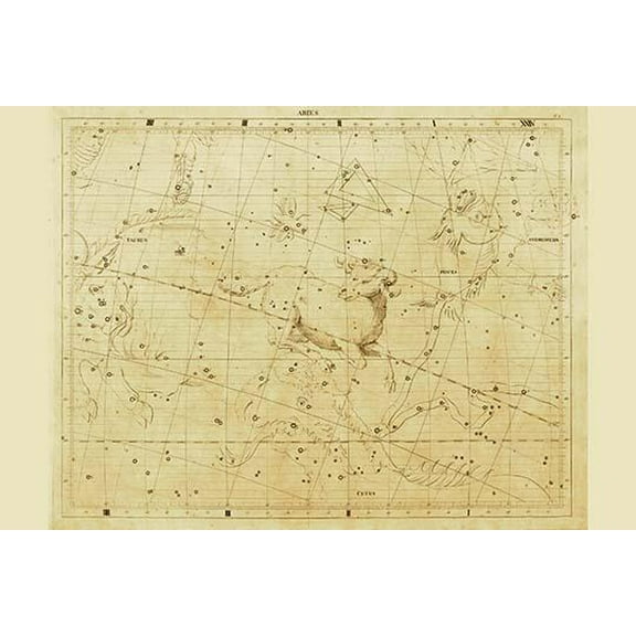 Aries-Fine Art Canvas Print (20" x 30")