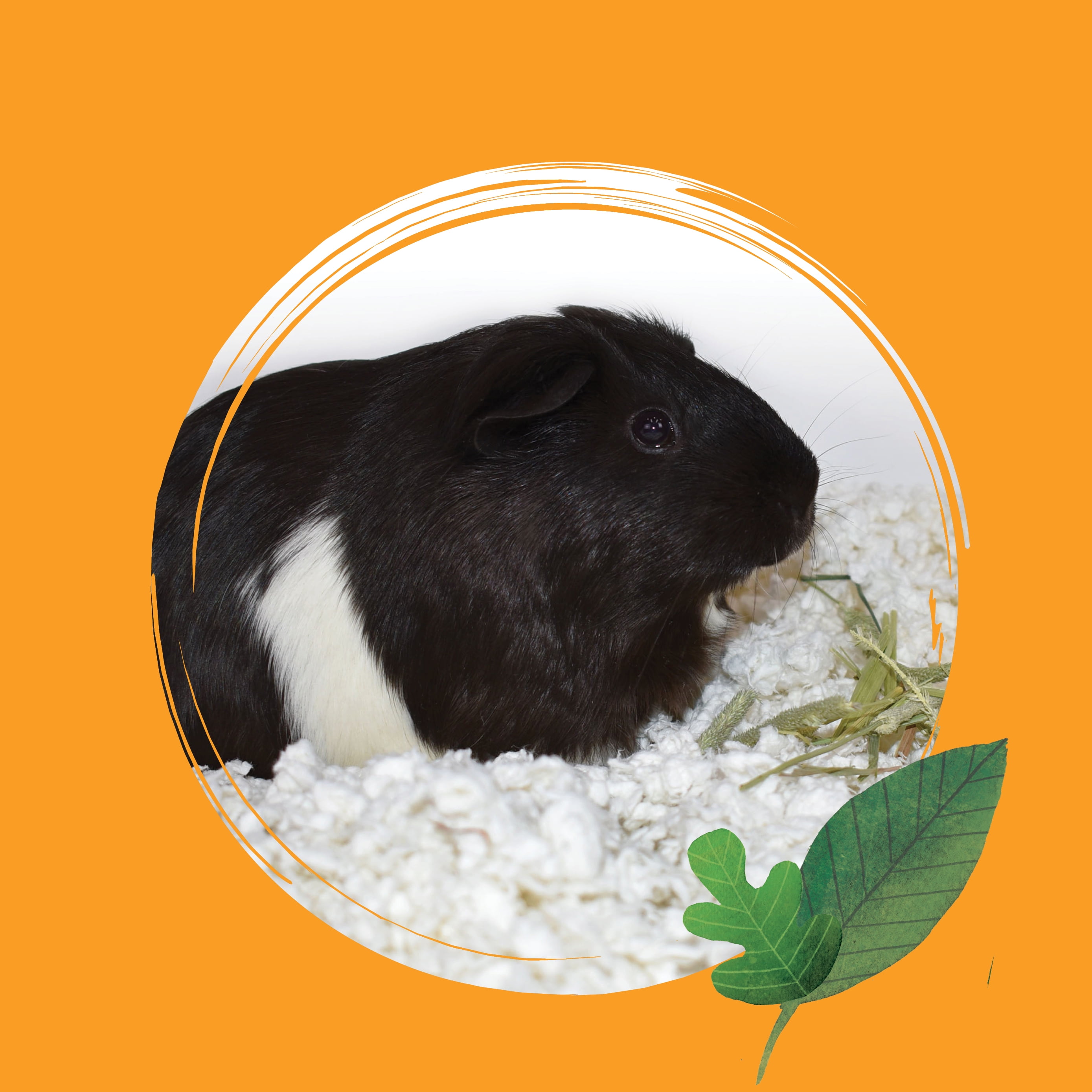 Crittercare Snowflake Paper Small Pet Bedding, 50 L