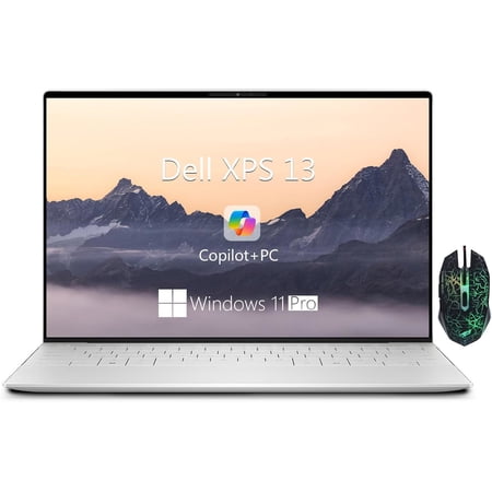 Dell XPS 13 9345 Laptop, 13.4" FHD+ Business Laptops, Snapdragon X Elite, 16GB LPDDR5X RAM, 512GB SSD, Wi-Fi 7, Backlit KB, Fingerprint, Copilot AI Laptops, Windows 11 Pro, Platinum