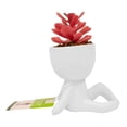 thumbnail image 2 of Planta Artificial Mainstays 16 cm con Maceta Rojo, 2 of 4