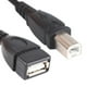 thumbnail image 5 of Cable Adaptador de Impresora de Escáner Baoblaze 4xUSB 2.0 Tipo A Hembra a USB B Macho 4 piezas negro, 5 of 8