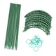 thumbnail image 5 of 3 juegos de jaula de soporte para plantas, estaca de plástico de 25cm, accesorio de horticultura para tomate flor, 5 of 8
