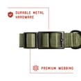 thumbnail image 5 of Mammoth Polyester Wide Buckle Design, Adjustable Fashion Dog Collar, Green, Large, 5 of 10