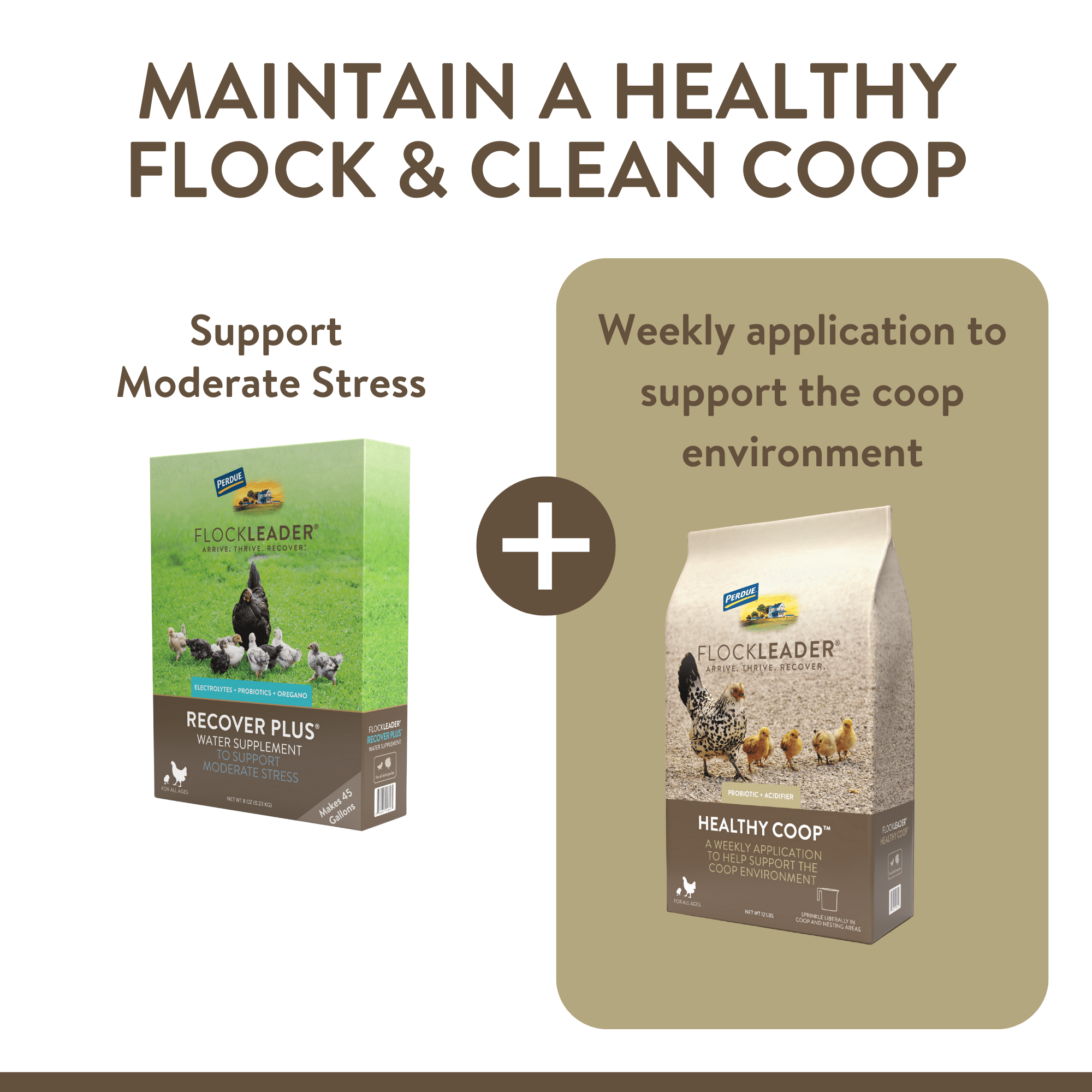 FlockLeader Recover Plus Poultry Supplement for Chickens, 2.5 Ounce