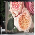 thumbnail image 3 of Ambesonne Flowers Shower Curtain, Romantic Roses on Blurred, 69"Wx84"L, Peach Pink and Emerald, 3 of 4