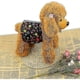 thumbnail image 5 of Pañales para perros lavables y reutilizables, pantalones fisiológicos transpirables suaves, banda para el vientre para perros machos, 5 of 5