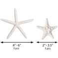 thumbnail image 5 of Nautical Crush Trading Nautical Beach Wedding Starfish Wall Decor, Set of 10, 5 of 6