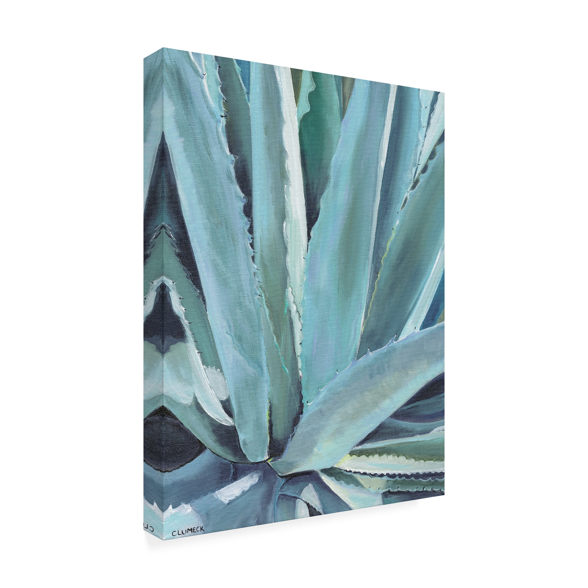 Trademark Fine Art 'Blue Agave' Canvas Art by Alana Clumec