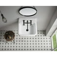 thumbnail image 4 of Gourmetier GCLWS22187 Petra Galley 22" x 18" Cast Iron Wall Mount Utility Sink, White, 4 of 11