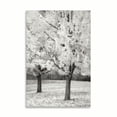 thumbnail image 2 of Gango Home Decor Splash of Color I B&W by Vitaly Geyman (Printed on Paper); One 24x36in Fine Art Paper Giclee Print, 2 of 4