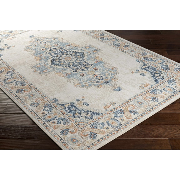 BoutiqueRugs Neepawa Bohemian, Transitional Area Rug - Outdoor Safe - Medium Gray, Aqua, Navy - 5'3" x 7'