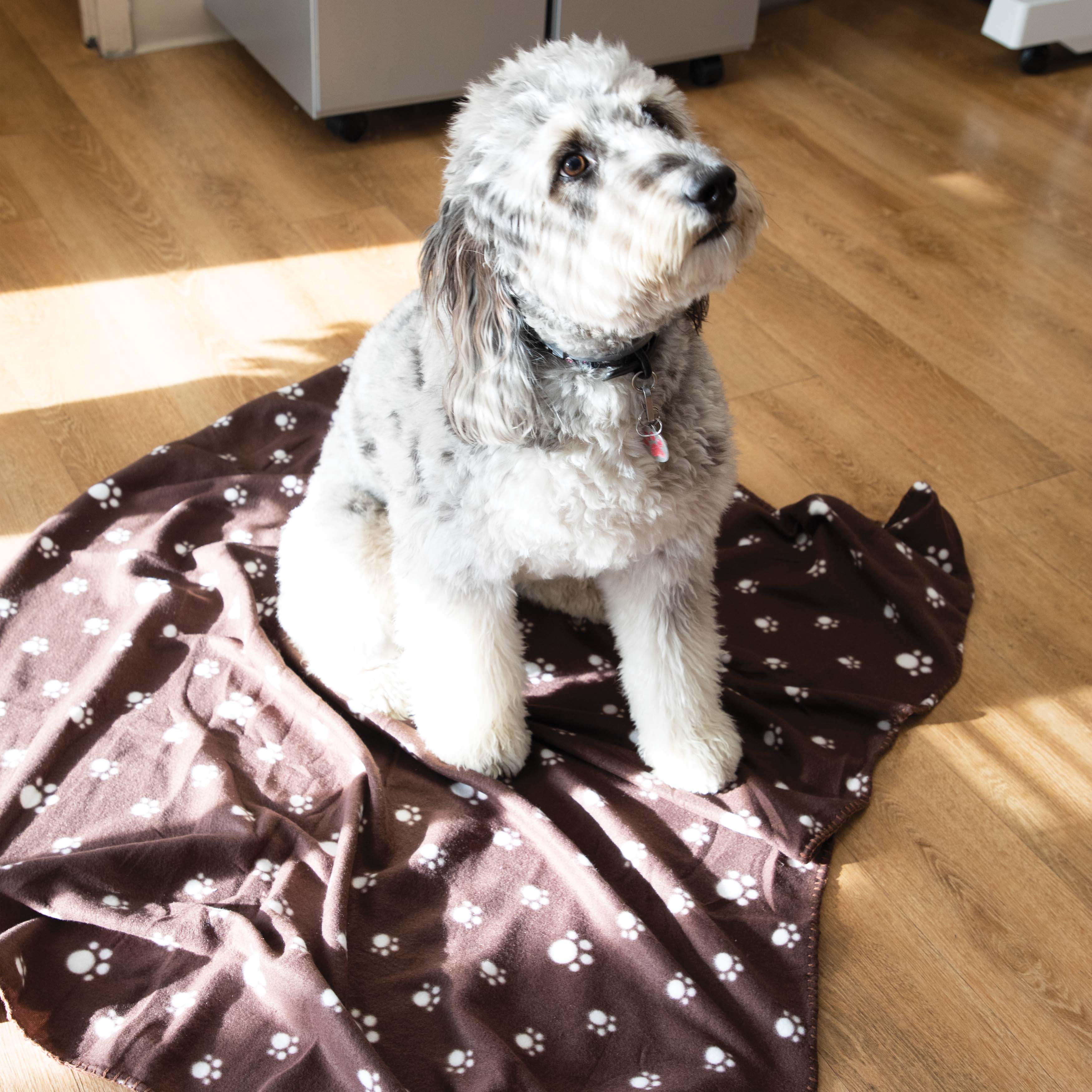 Wholesale dog cheap blankets