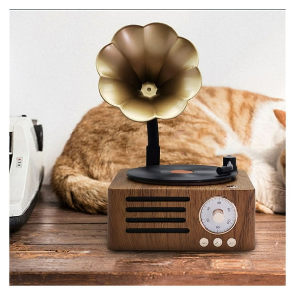 Retro Radio Portable Mini FM Radio Speaker MP3 Music Box Vintage Record Player With Microphone Support TFCard/AUX Play ,Simple Setup