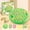 B, variant on D Kids Two Player Memory Flip Chess Game Animal Theme Interactive Desktop Puzzle Toy For Children