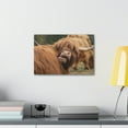 thumbnail image 3 of Funny Yak Silly Yak  Outside Wall Art Ready to Hang Unframed, 3 of 18