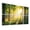 Color 3, variant on 8 Pack Art Acoustic Panels Sound Absorbing Forest Sunlight Trees Greenery Fog Naturalistic Detailed Vivid Decorative Soundproof Wall Panels Self Adhesive for Nursery Game Room Bedroom 48"x32"