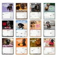Cute Wall Calendar 2025 