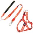 thumbnail image 2 of Flmtop Harness Leash Set Printing Pet Accessories Polyester Printing Harness Traction Rope Set for Walking Orange, 2 of 9