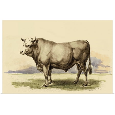 Great BIG Canvas | Rolled Julian Bien Poster Print entitled Antique Cow I