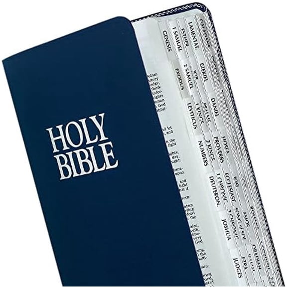 Silver-Edged Bible Indexing Tabs, Old & New Testament, 80 Tabs Including 64 Books & 16 Reference Tabs (58339), Silver-Edge (80 Tabs), Pack of 1