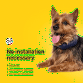 thumbnail image 7 of Halo Collar 4 Wireless Dog Fence System & GPS Dog Collar, One Size, Midnight, 7 of 7