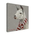 thumbnail image 2 of Trademark Fine Art 'Llama With Red And White Scarf' Canvas Art by Mary Miller Veazie, 2 of 3