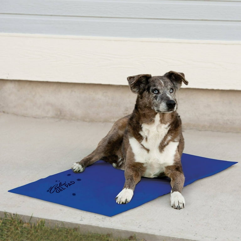 K&H PET PRODUCTS Coolin' Dog Mat, Blue, X-Large 