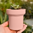 thumbnail image 5 of Nordic Style Mini Plastic Flowerpot - Simple Creative Desktop Flower Pots for Indoor Small, Durable Lightweight Pots, Fashionable Home & Office Decorative Flowerpot, 5*5*4in, Pink, 5 of 7