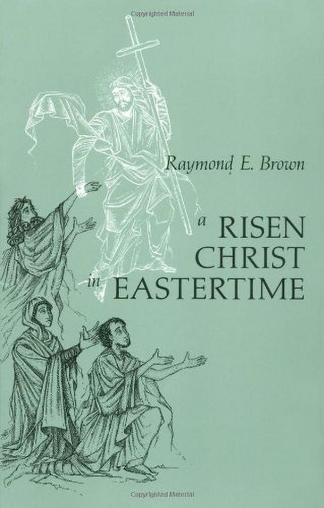 A Risen Christ in Eastertime : Essays on the Gospel Narratives of the Resurrection (Paperback)