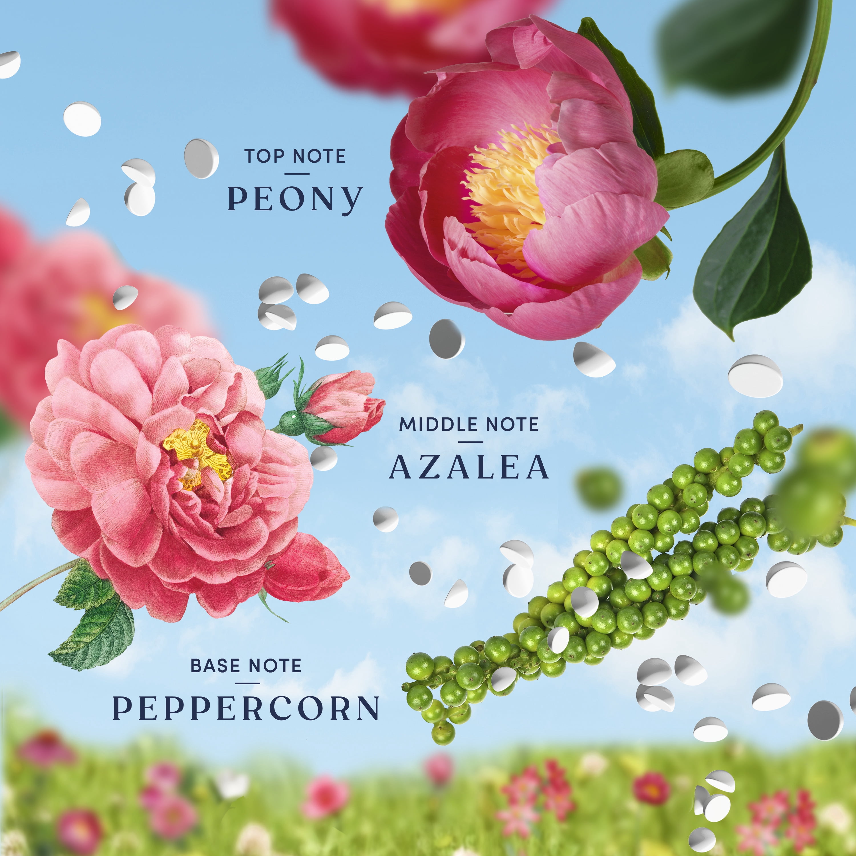 (4 pack) Downy Laundry Scent Beads Boutique Botanicals In-Wash Scent Booster, Peonia Scent, 21.1 oz