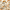 Forest Pattern, variant on Yayeee 40oz Double-Wall Insulated Stainless Steel Tumbler with Handle Bottle, Forest Pattern