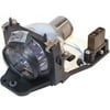 eReplacements - SP-LAMP-LP5F-ER - Premium Power Products Lamp for Infocus Front Projector - 270 W Projector Lamp - SHP -