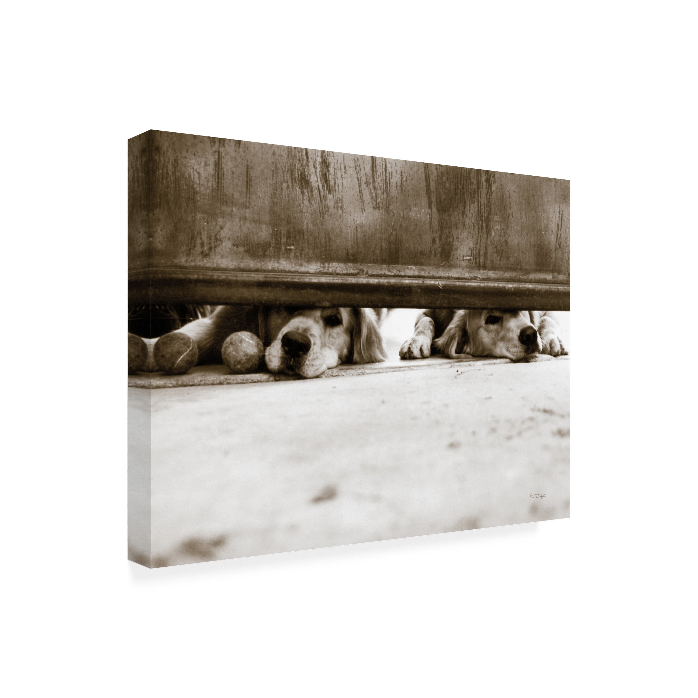 Elizabeth Urquhart 'First Light II' Canvas Art