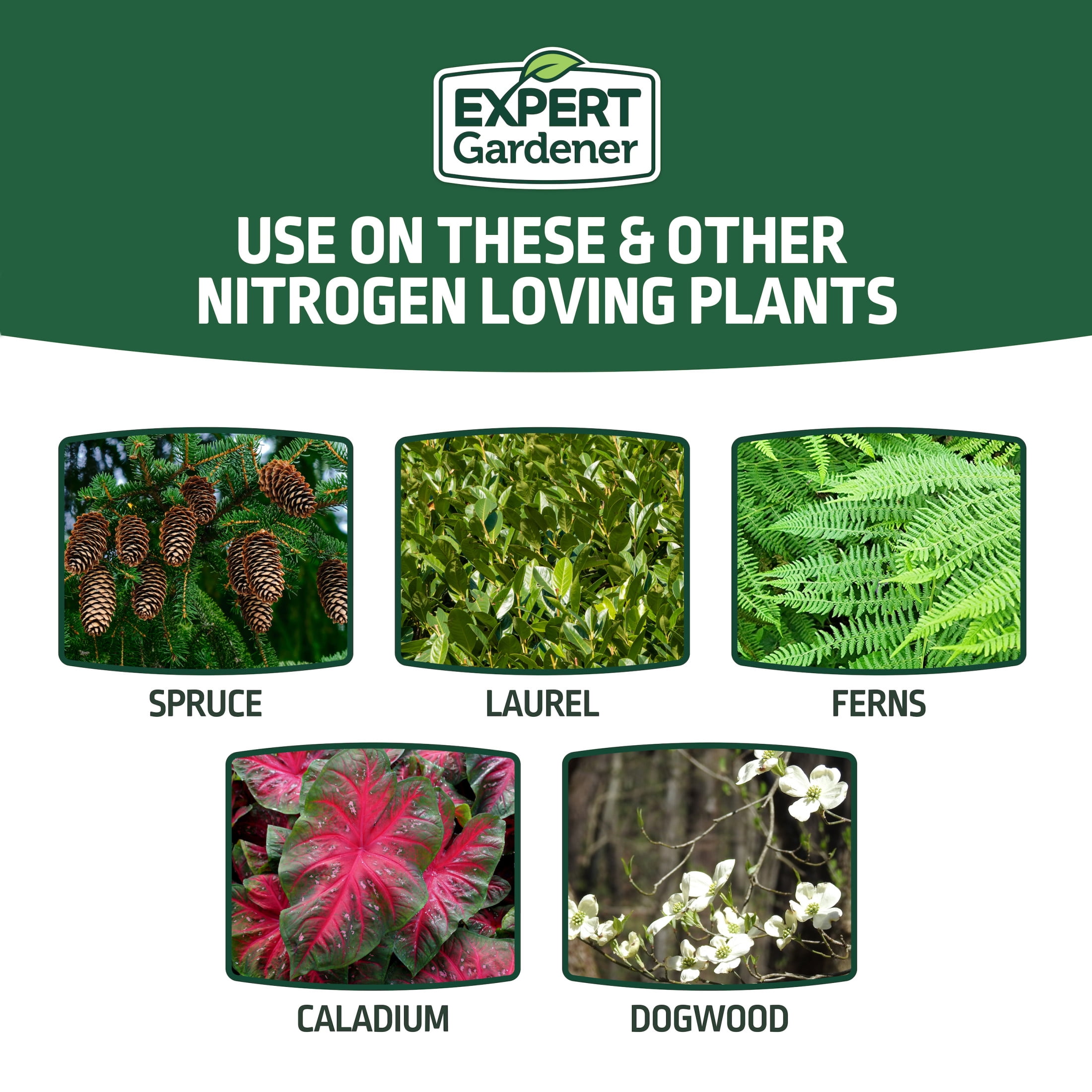Expert Gardener Evergreen Tree and Shrub Plant Food, 16-4-8 Fertilizer, 4 lb.