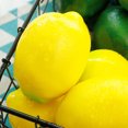 thumbnail image 3 of Miangastore 8pcs Artificial Lemon Fake Lemon Lifelike Fruit Decorations Foam Lemon Models, 3 of 8