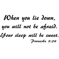 Proverbs 3:24, Bible Verse Vinyl Wall Decal by Scripture Wall Art, 11"x22" Black, Christian