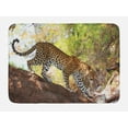 thumbnail image 1 of Zoo Bath Mat, Leopard Panthera Pantus on Tree Nature Reserve Botswana Carnivore Animal, Non-Slip Plush Mat Bathroom Kitchen Laundry Room Decor, 29.5 X 17.5 Inches, Green Pale Brown White, Ambesonne, 1 of 2
