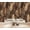 Color 1, variant on Wallpaper Dark Feather Brown Black Tones Elegant Abstract Design Peel and Stick Wall Murals 100"H x 144"W Removable PVC Wall Paper Self-Adhesive Wall Paintings Art Decor for Bedroom Living Room