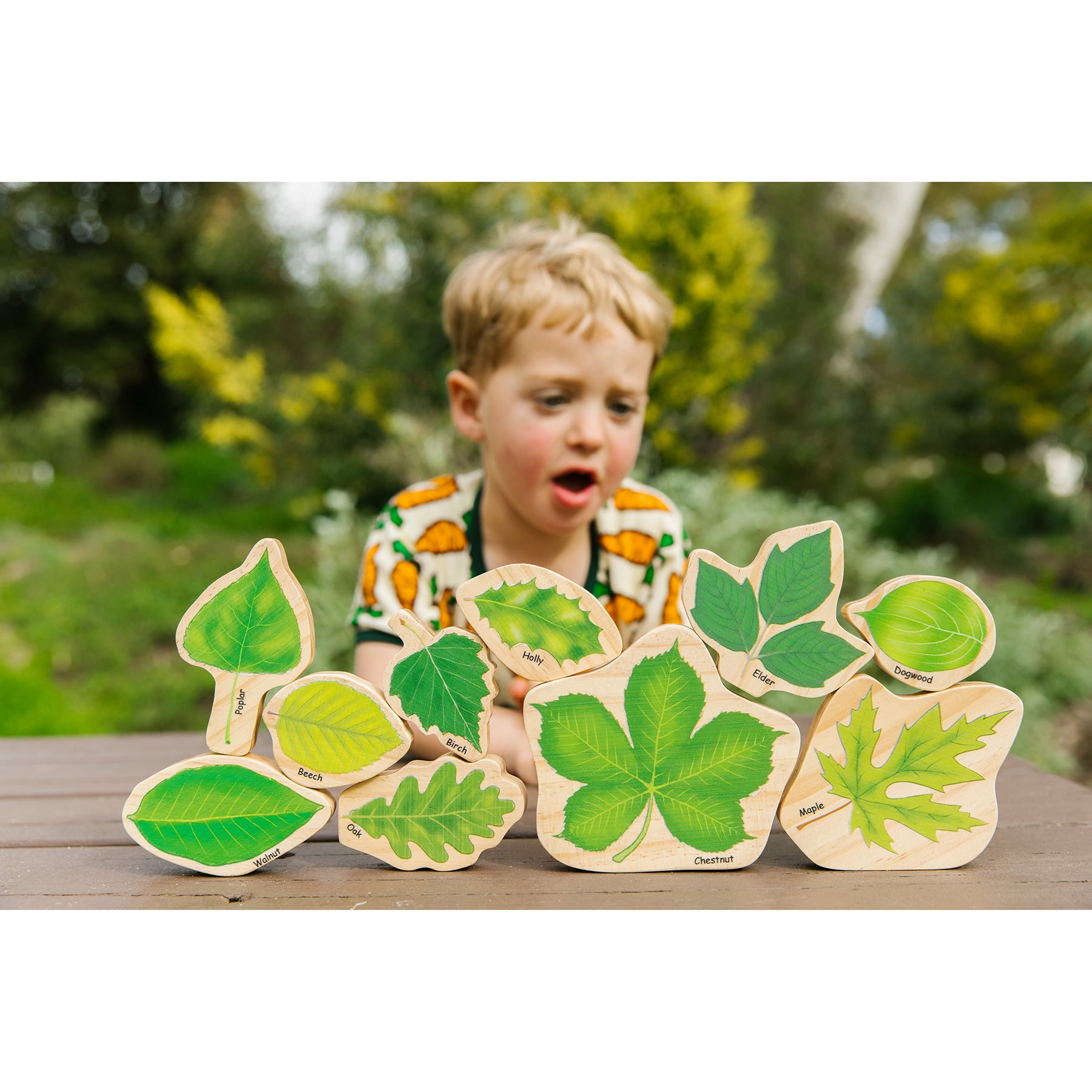 The Freckled Frog Stacking Leaves