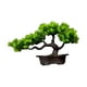thumbnail image 4 of Bonsái artificial, planta en maceta, con maceta, decoración de plantas pequeñas. Pino de la longevidad, 4 of 9