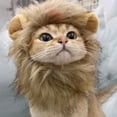 thumbnail image 4 of fastboy Cat Lion Hat Headgear Unique Gift For Cat Lovers And Feline Friends Cat Bunny Rabbit Hat With Ears Lion Mane Wig M, 4 of 6