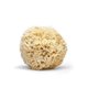 thumbnail image 1 of Natural Sea Wool Bath Sponge Sea Sponge For Body Care Sea Sponge For Facial Cleansing & Body Washing-rx, 1 of 5