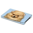 thumbnail image 1 of MightySkins SA850EV-Pomeranian Portrait Skin for Samsung 850 or 860 Evo 2.5 in. SSD - Pomeranian Portrait, 1 of 4