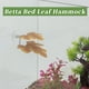 thumbnail image 4 of Cama de pez Betta Unique Bargains, cama de hoja de Betta, hamaca de plástico para Betta, almohadilla de hamaca para Betta con ventosa, naranja, 4 of 7