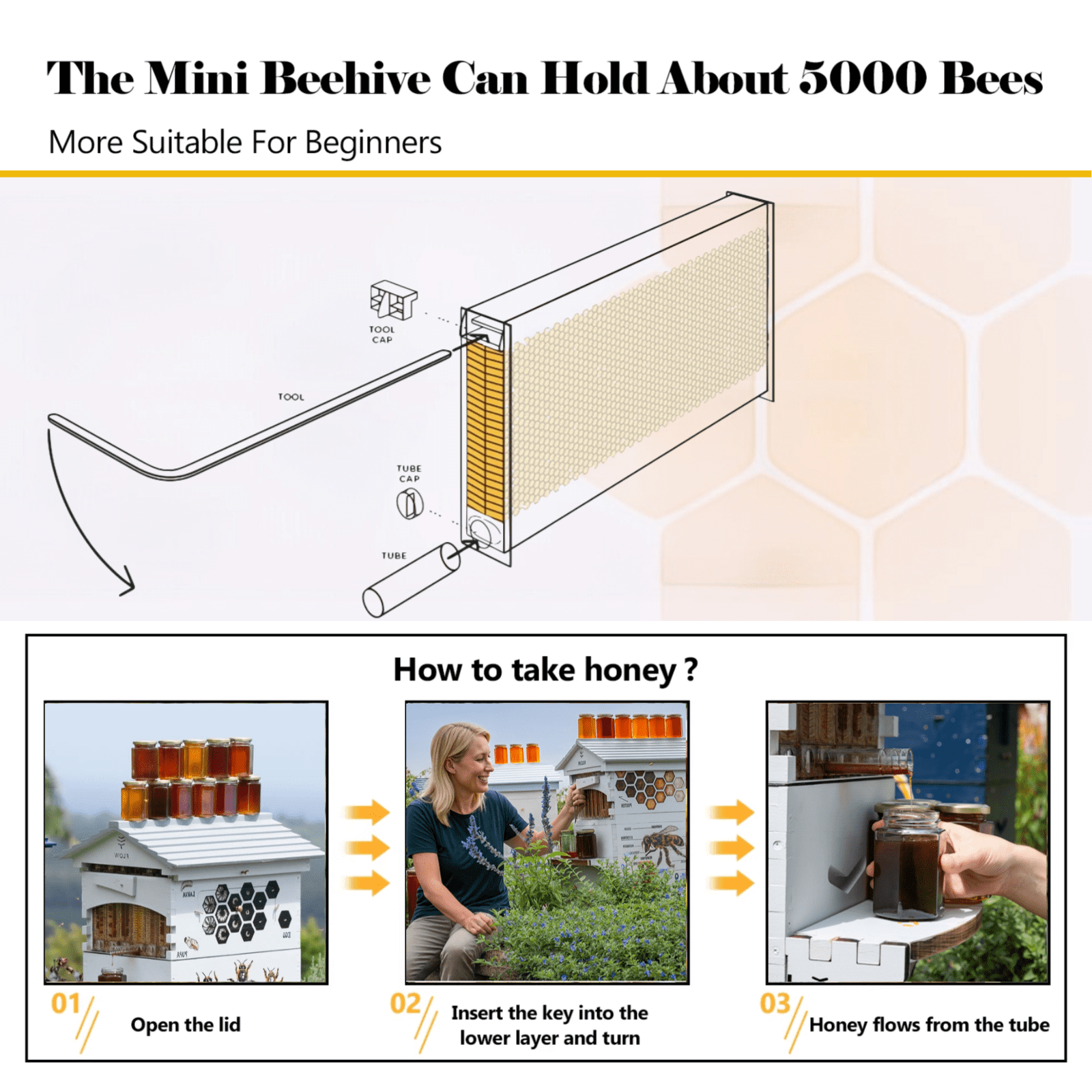 BEE-HIVE フライヤー Amazon.com: Beehive Inner Cover Multifunction 10 Frame